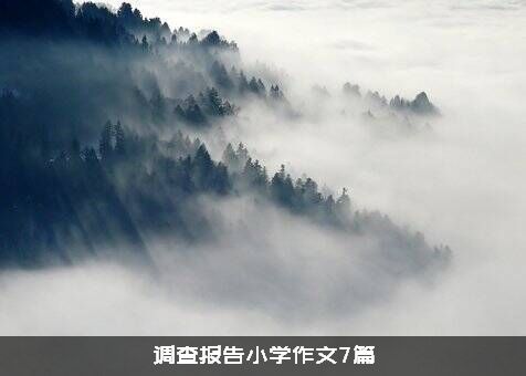 调查报告小学作文7篇