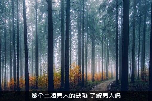 嫁个二婚男人的缺陷（了解男人吗）