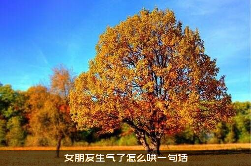 女朋友生气了怎么哄一句话？