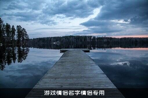 游戏情侣名字情侣专用