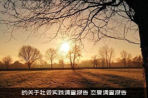 的关于社会实践调查报告（恋爱调查报告）