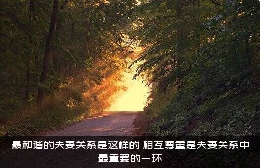 最和谐的夫妻关系是这样的，相互尊重是夫妻关系中最重要的一环