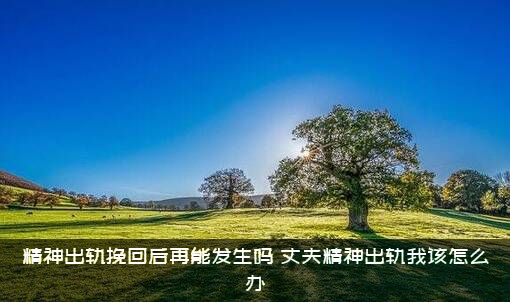 精神出轨挽回后再能发生吗？丈夫精神出轨我该怎么办？