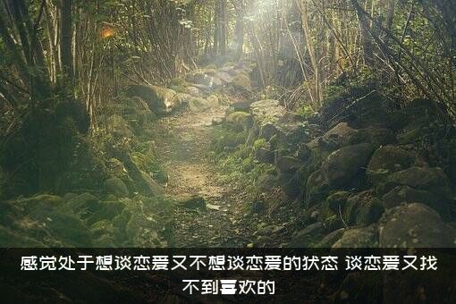 感觉处于想谈恋爱又不想谈恋爱的状态，谈恋爱又找不到喜欢的
