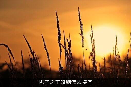 执子之手婚姻怎么挽回？