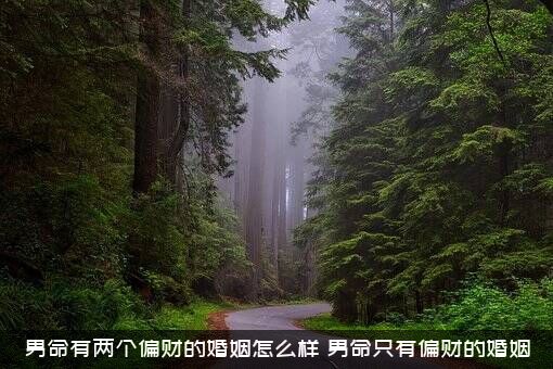 男命有两个偏财的婚姻怎么样？男命只有偏财的婚姻