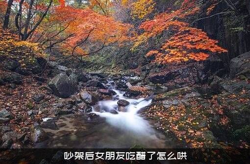 吵架后女朋友吃醋了怎么哄？