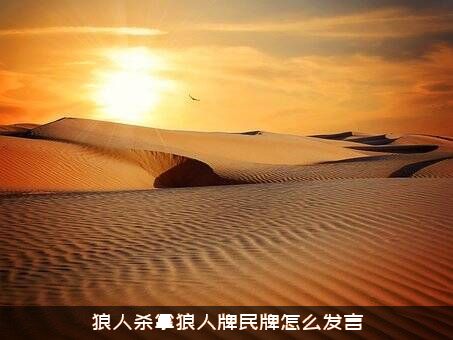 狼人杀拿狼人牌民牌怎么发言？