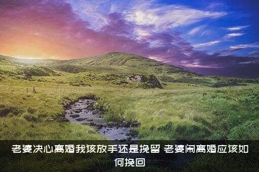老婆决心离婚我该放手还是挽留，老婆闹离婚应该如何挽回?？