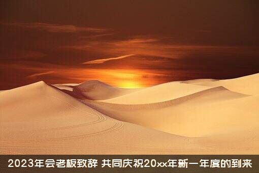 2023年会老板致辞（共同庆祝20xx年新一年度的到来）