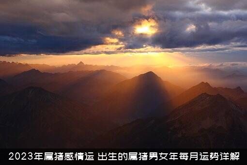 2023年属猪感情运（出生的属猪男女年每月运势详解）