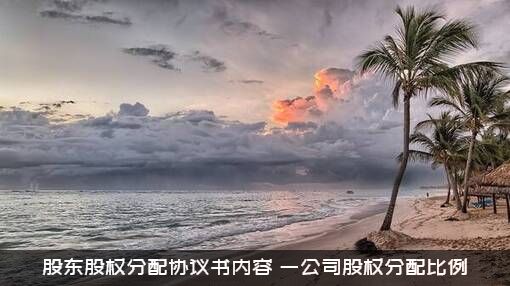 股东股权分配协议书内容（一公司股权分配比例）