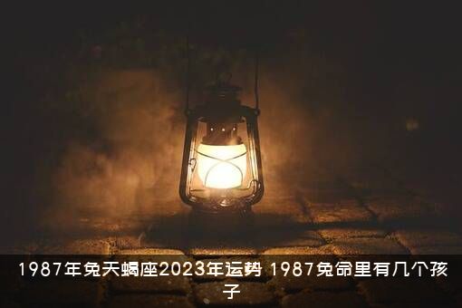 1987年兔天蝎座2023年运势，1987兔命里有几个孩子？