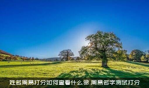 姓名周易打分如何查看什么命？周易名字测试打分