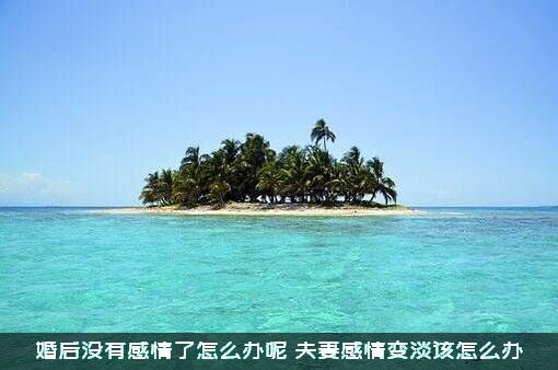 婚后没有感情了怎么办呢？夫妻感情变淡该怎么办？