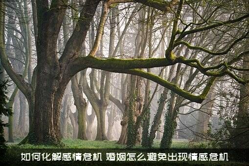 如何化解感情危机？婚姻怎么避免出现情感危机？