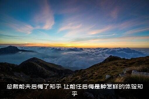总裁前夫后悔了知乎，让前任后悔是种怎样的体验知乎？