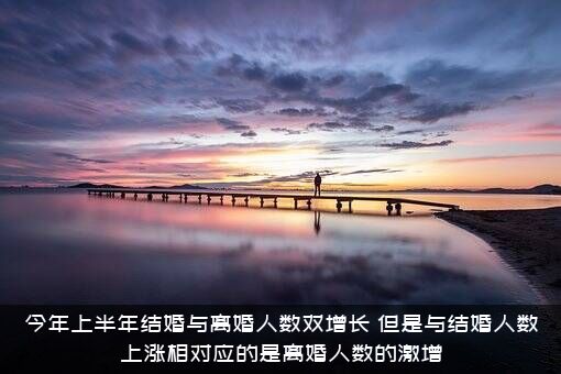 今年上半年结婚与离婚人数双增长，但是与结婚人数上涨相对应的是离婚人数的激增