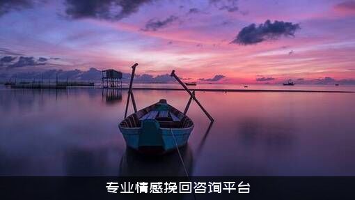 专业情感挽回咨询平台