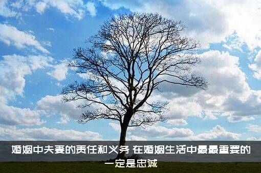 婚姻中夫妻的责任和义务（在婚姻生活中最最重要的一定是忠诚）