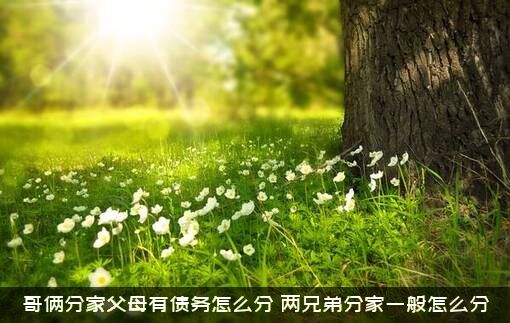 哥俩分家父母有债务怎么分？两兄弟分家一般怎么分？