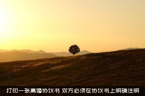 打印一张离婚协议书（双方必须在协议书上明确注明）