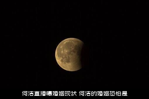 何洁直播曝婚姻现状（何洁的婚姻恐怕是）