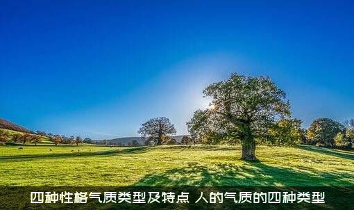 四种性格气质类型及特点（人的气质的四种类型）