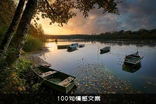 100句情感文案