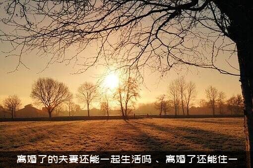离婚了的夫妻还能一起生活吗？、离婚了还能住一