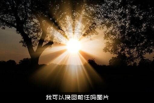我可以挽回前任吗图片？