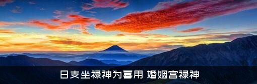 日支坐禄神为喜用（婚姻宫禄神）