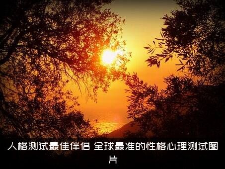 人格测试最佳伴侣（全球最准的性格心理测试图片）