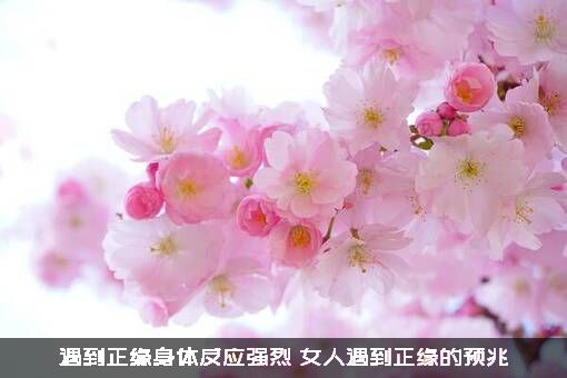 遇到正缘身体反应强烈（女人遇到正缘的预兆）