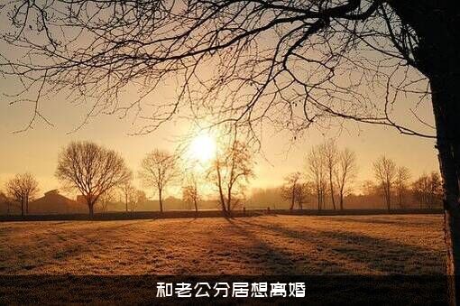 和老公分居想离婚