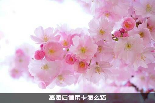 离婚后信用卡怎么还？