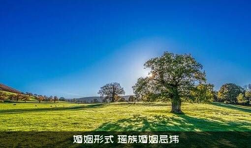 婚姻形式（瑶族婚姻忌讳）