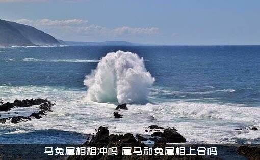 马兔属相相冲吗？属马和兔属相上合吗？