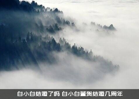 白小白结婚了吗？白小白董贺结婚几周年？
