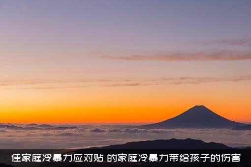 佳家庭冷暴力应对贴（的家庭冷暴力带给孩子的伤害）