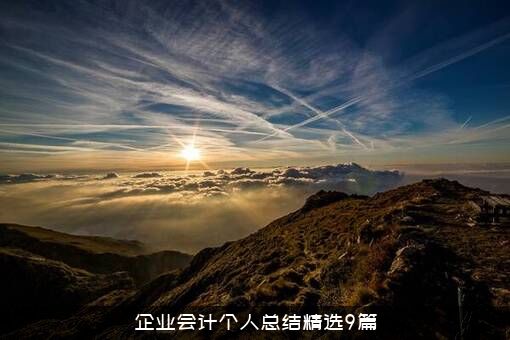 企业会计个人总结精选9篇