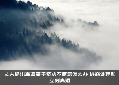 丈夫提出离婚妻子坚决不愿意怎么办？协商处理和立刻离婚