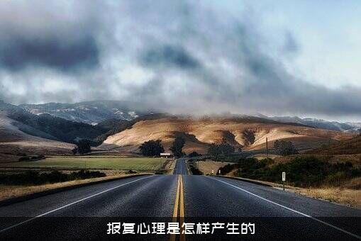 报复心理是怎样产生的？