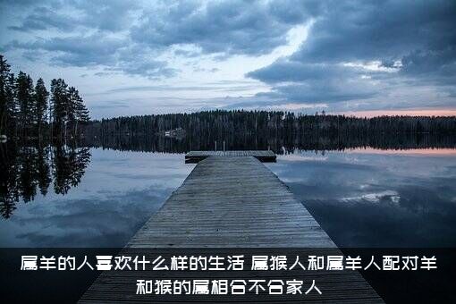 属羊的人喜欢什么样的生活？属猴人和属羊人配对羊和猴的属相合不合家人