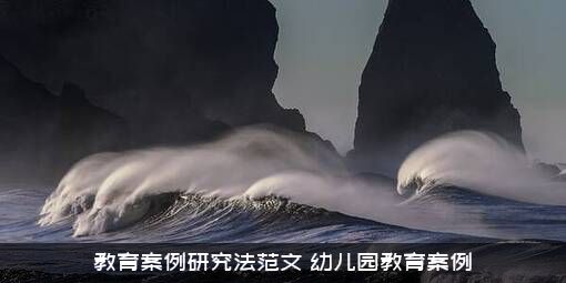 教育案例研究法范文（幼儿园教育案例）