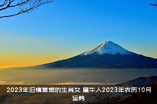 2023年旧情复燃的生肖女（属牛人2023年农历10月运势）