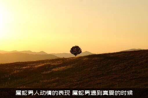属蛇男人动情的表现（属蛇男遇到真爱的时候）