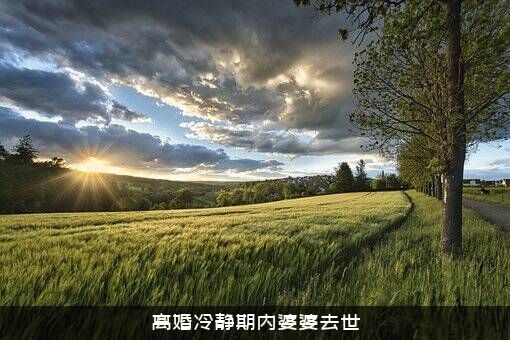 离婚冷静期内婆婆去世