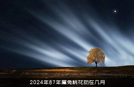 2024年87年属兔桃花劫在几月？