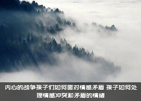内心的战争孩子们如何面对情感矛盾？孩子如何处理情感冲突和矛盾的情绪？